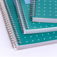 Pukka Pad Metallic Jotta A4 Wirebound Hardcover Notepad 100 80GSM Ruled Sheets